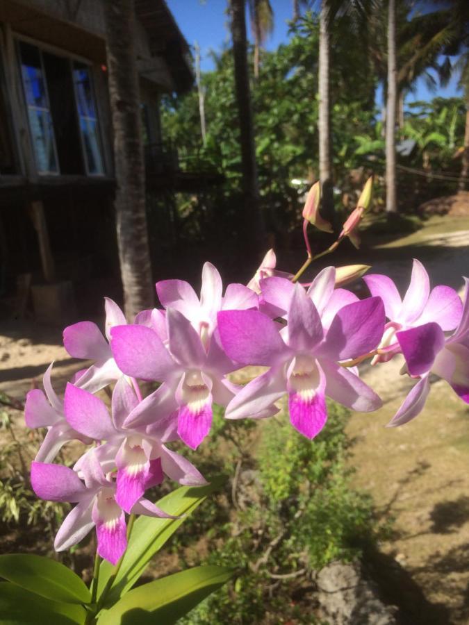 We Call It Rainbow Paradise Hotel Daanbantayan Екстериор снимка